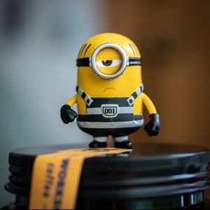 Meet your Posher, Prithvipal